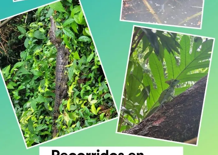 Apartamentos Caiman 3
