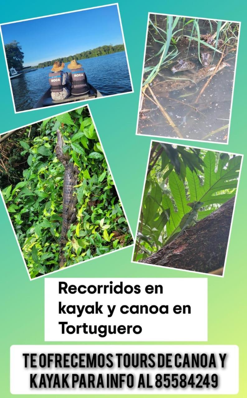 Caiman 3 Apartment